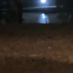 Meet your Posher, Chase